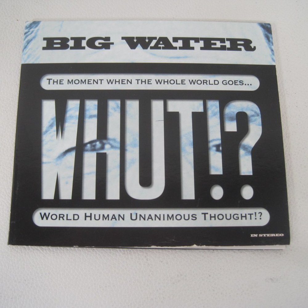 BIG WATER: THE MOMENT WHEN THE WHOLE WORLD GOES... WHUT!? WORLD HUMAN UNANIMOUS